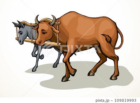 Vector drawing. Ox and donkey in one harness 109819993