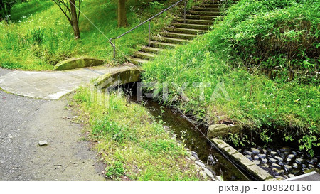 横浜国際プール近くの小川の風景 109820160