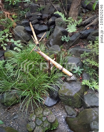 坪庭の中の鹿威し 坪庭の中の鹿威し 109820246