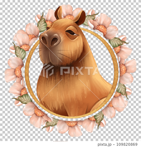 Cute Capybara. Floral animal portrait, isolated on white Cute Capybara. Floral animal portrait, isolated on white 109820869