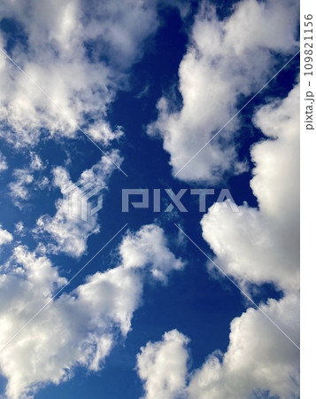 夏の青空に浮かぶ綿のような雲 109821156