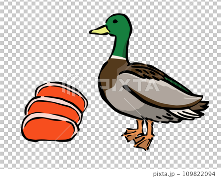 野鴨和鴨肉的插圖 野鴨和鴨肉的插圖 109822094
