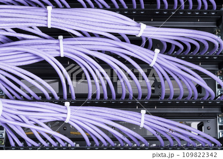 bunch of patch network cables sorted in rack cabinet, leading from patch panel in the server rack in the data center room 109822342