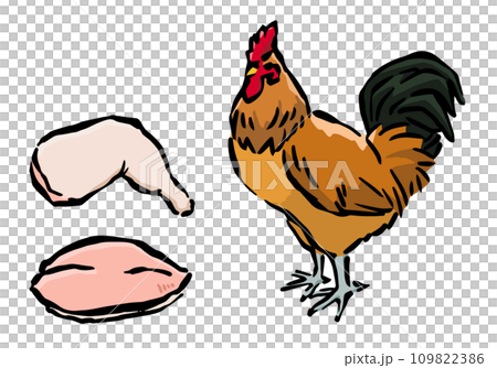 地鶏と鶏肉の手書き風イラスト 地鶏と鶏肉の手書き風イラスト 109822386
