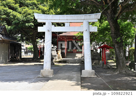 川口散歩・飯塚氷川神社　川口市飯塚 109822921