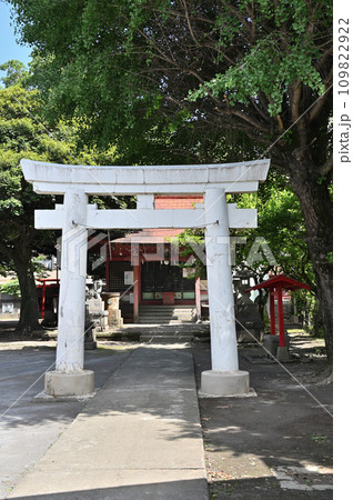 川口散歩・飯塚氷川神社　川口市飯塚 109822922