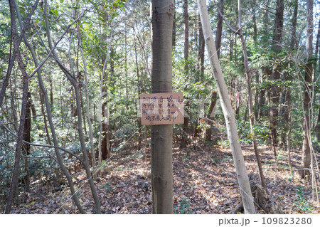 阿須赤城山（加治丘陵） 109823280