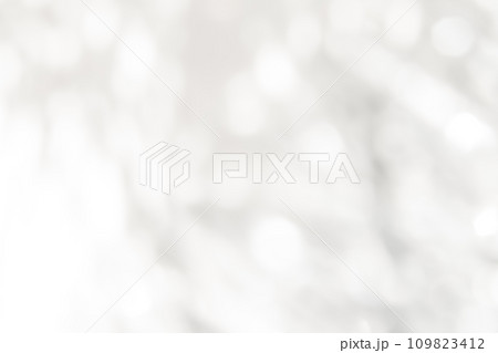 雪・ふんわり 背景素材 109823412
