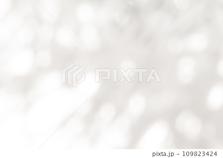 雪・ふんわり 背景素材 109823424