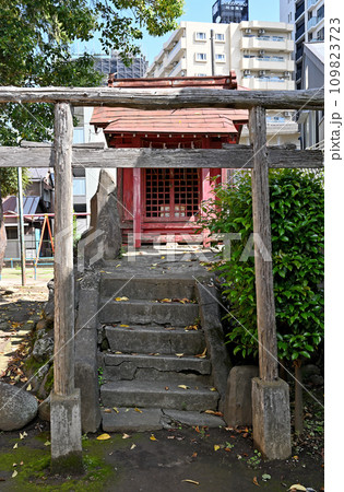 川口散歩・飯塚氷川神社　川口市飯塚 109823723