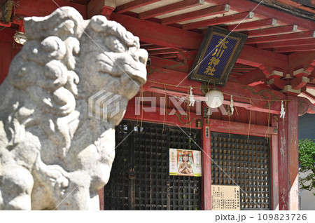 川口散歩・飯塚氷川神社　川口市飯塚 109823726