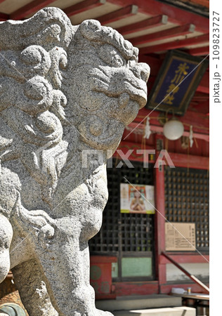 川口散歩・飯塚氷川神社　川口市飯塚 109823727
