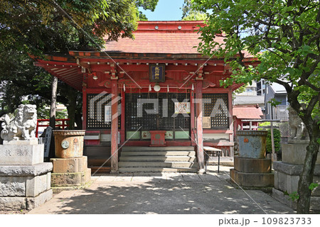 川口散歩・飯塚氷川神社　川口市飯塚 109823733