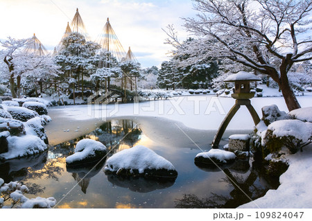 雪降る兼六園 109824047