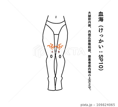 経穴 血海のイラスト素材 [109824065] - PIXTA