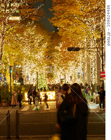 冬の東京駅前の繁華街のイルミネーションの夜景と観光客の姿 冬の東京駅前の繁華街のイルミネーションの夜景と観光客の姿 109824486