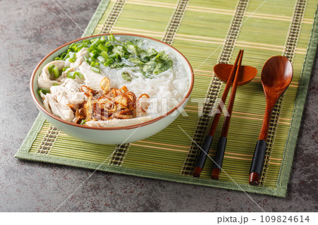 Vietnamese Chicken Glass Noodles Soup closeup on the bowl. Horizontal Vietnamese Chicken Glass Noodles Soup closeup on the bowl. Horizontal 109824614
