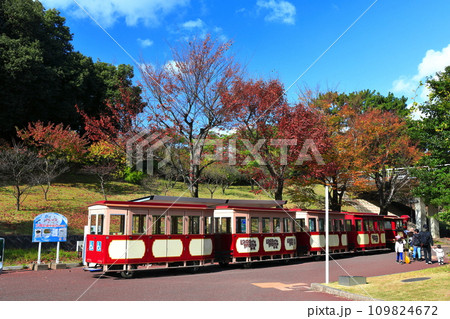 【大阪府】紅葉の万博記念公園の森のトレイン(万博公園中央口駅) 【大阪府】紅葉の万博記念公園の森のトレイン(万博公園中央口駅) 109824672