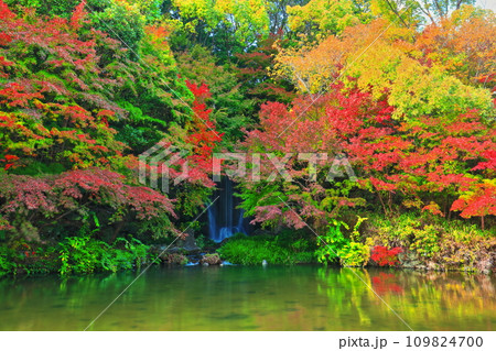【大阪府】万博記念公園のもみじの滝と紅葉（紅葉渓 ） 109824700