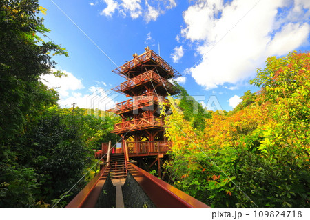 【大阪府】紅葉の万博記念公園の遠見の丘 展望タワー 109824718