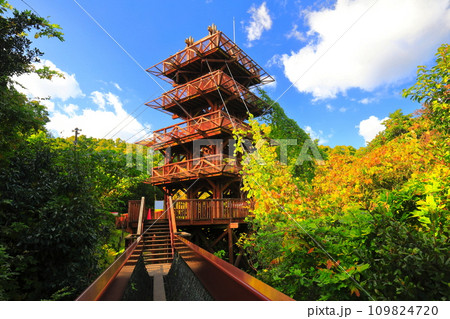 【大阪府】紅葉の万博記念公園の遠見の丘 展望タワー 109824720