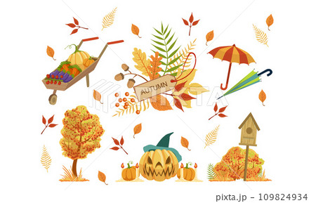 Autumn Season Objects Collection, Autumnal Design Elements, Wheelbarrow with Vegetables, Halloween Pumpkin, Colorful Tree Leaves, Umbrella Vector Illustration 109824934