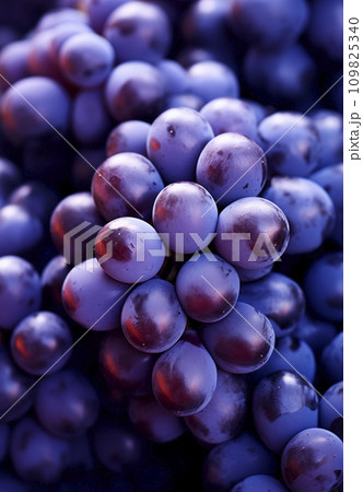 AI-generated content. Blue grape bunch close up, wine package background, design element with copy space, AI generated 109825340