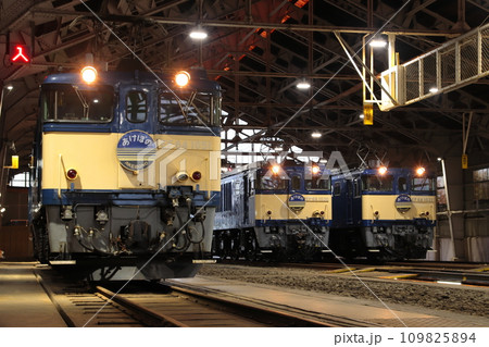 レトロな車両庫に佇むEF64形電気機関車たち_2023/11/25撮影 109825894