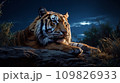 闇夜に身を潜める虎　AI画像 109826933
