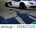 白いスーパーカーとタヌキ人形 109827228