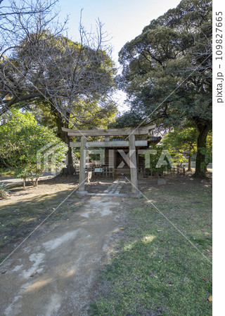 浜離宮恩賜庭園稲生神社 浜離宮恩賜庭園稲生神社 109827665