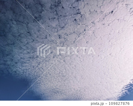 薄氷の様な雲　231218 109827876