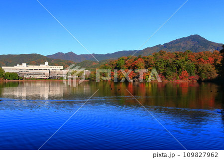 【京都府】快晴の国立京都国際会館と紅葉（宝が池公園） 109827962