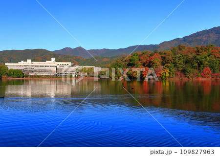 【京都府】快晴の国立京都国際会館と紅葉（宝が池公園） 109827963