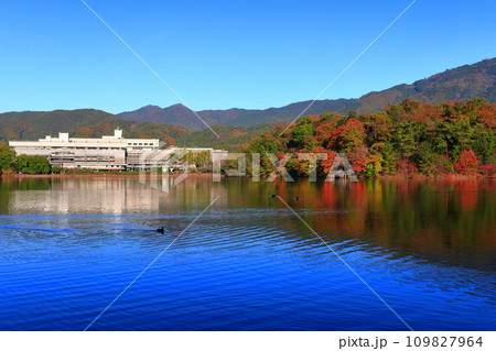 【京都府】快晴の国立京都国際会館と紅葉(宝が池公園) 【京都府】快晴の国立京都国際会館と紅葉(宝が池公園) 109827964