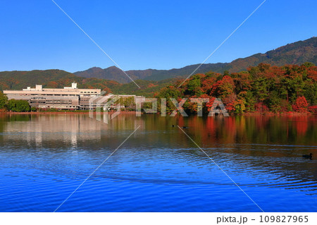 【京都府】快晴の国立京都国際会館と紅葉(宝が池公園) 【京都府】快晴の国立京都国際会館と紅葉(宝が池公園) 109827965