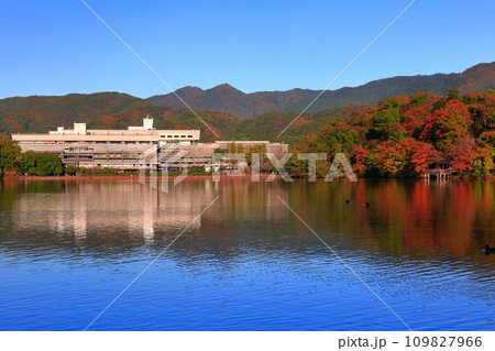【京都府】快晴の国立京都国際会館と紅葉（宝が池公園） 109827966