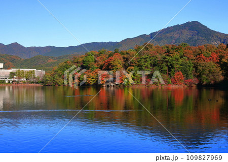 【京都府】快晴の宝が池公園の紅葉 109827969