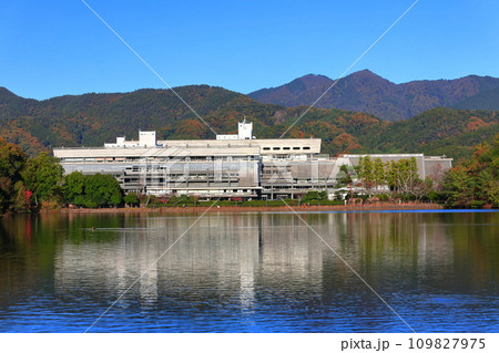【京都府】快晴の国立京都国際会館と紅葉(宝が池公園) 【京都府】快晴の国立京都国際会館と紅葉(宝が池公園) 109827975