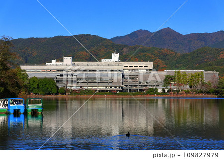 【京都府】快晴の国立京都国際会館と紅葉（宝が池公園） 109827979