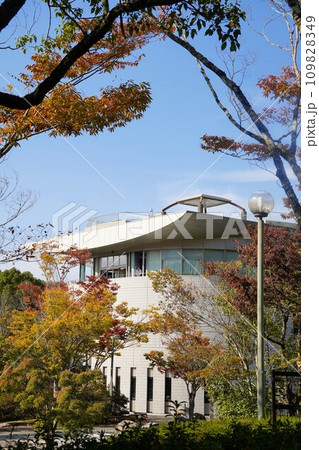 2023香川用水記念公園の紅葉【香川県三豊市】19 2023香川用水記念公園の紅葉【香川県三豊市】19 109828349