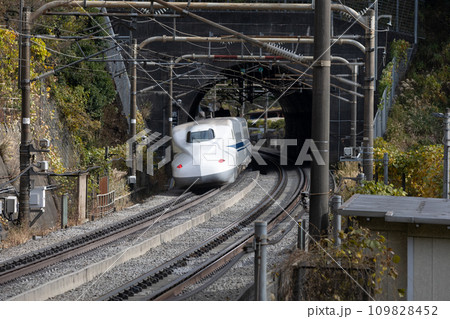 トンネルから現れた東海道新幹線 109828452