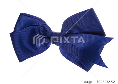 Blue bow, isolated on white background 109828552