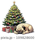 クリスマスツリーとパグ 109828600