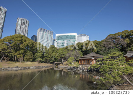 浜離宮恩賜庭園燕の御茶屋 109828739