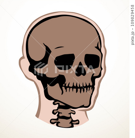 Vector drawing. Skull and neck bones Vector drawing. Skull and neck bones 109829458