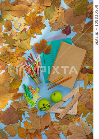 Back to school education old vintage symbols.  109830509