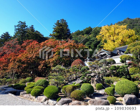 四国八十八ヶ所霊場第88番札所・大窪寺（結願寺）紅葉2023【香川県さぬき市】8 109830693