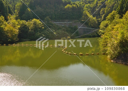 岩村ダムの三森山湖 109830868