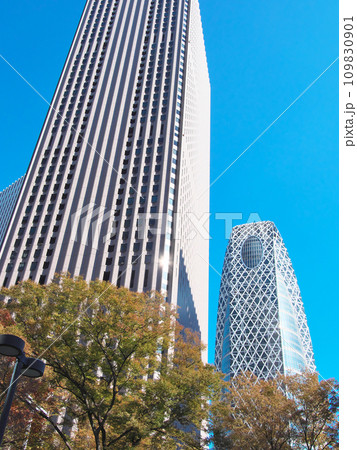 青空に映える秋の新宿副都心　都市景観（2023年11月） 109830901